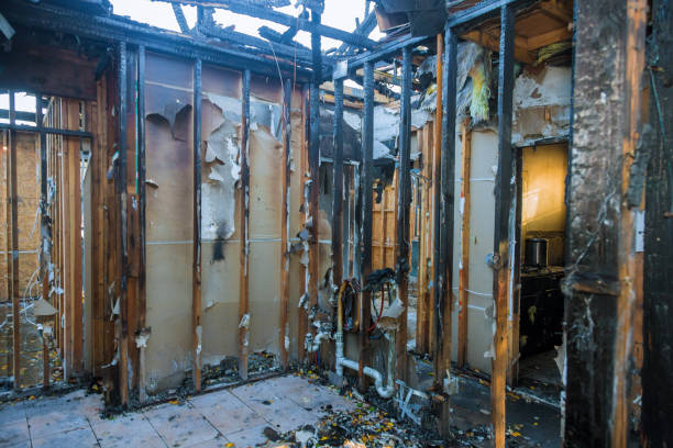 Professional Fire Damage Removal technician working in Walker, LA